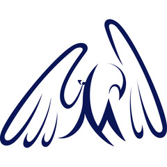 illustration of an wings