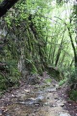 Torrente di montagna