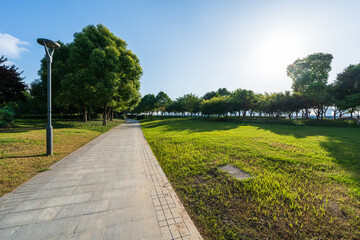 Fototapeta premium City park