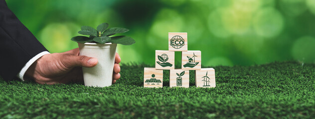 Businessman holding plant pot with ECO cube symbol. Forest regeneration and natural awareness....