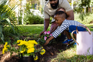 African american father assisting son in planting fresh flowers on field in backyard
