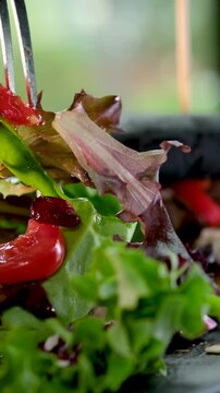 fork and knife eat salad in a restaurant delicious appetizing lunch dinner lunch rest relaxation awesome food burger in black cuttlefish ink bun beautiful serving