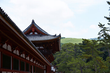 Japanese traditional shrine, Japan travel