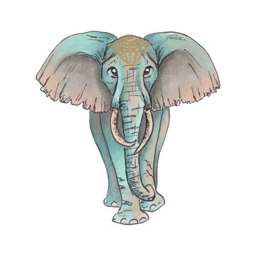 Cute elephant in a stylized style.Tropical animal.For decoration of children's rooms, book illustrations, postcards.Hand drawn graphics and color.
