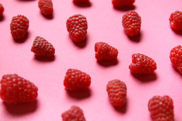 Many fresh raspberries on pink background