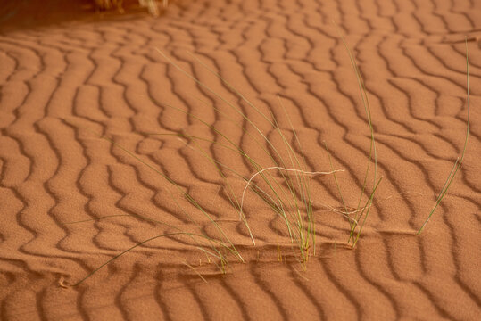 Scenic sand pattern on a desert's dune, drawn from the wind