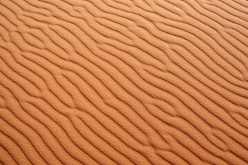 Fototapeta na wymiar Scenic sand pattern on a desert's dune, drawn from the wind