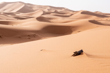 A fish tin left behind, polluting the Sahara desert