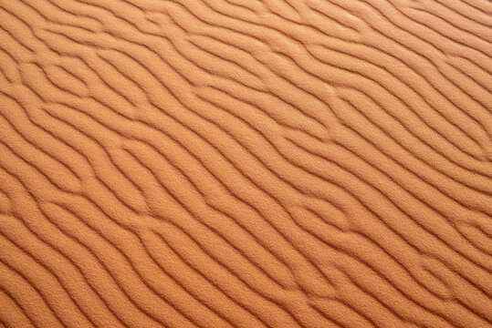 Scenic sand pattern on a desert's dune, drawn from the wind