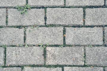 Paving slabs, copy space. Covering with modern textured paving slabs of square shape. Paving slabs. Seamless textures, amenable to stacking, close-up rows. High quality photo