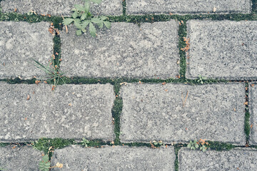 Paving slabs. Seamless textures, amenable to stacking, close-up rows. Paving slabs, copy space. Covering with modern textured paving slabs of square shape. High quality photo