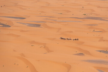 A camel caravan crossing the desert of Erg Chebbi