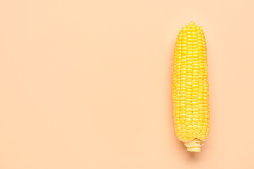 Fresh corn cob on pink background