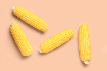 Fresh corn cobs on pink background