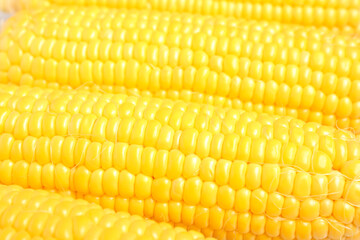 Texture of fresh corn cobs as background