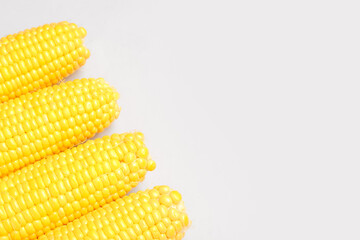 Fresh corn cobs on grey background