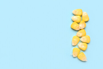 Fresh corn seeds on blue background