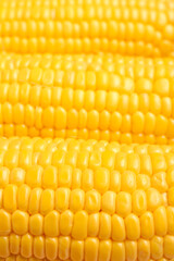 Texture of fresh corn cobs as background