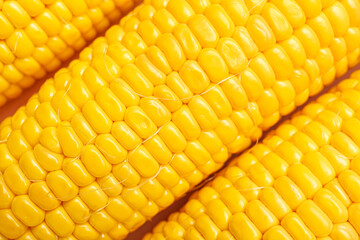 Texture of fresh corn cobs as background