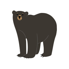 American Black Bear Single 35 cute on a white background, vector illustration. 