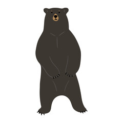 American Black Bear Single 30 cute on a white background, vector illustration. 