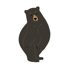 American Black Bear Single 29 cute on a white background, vector illustration. 