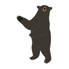 American Black Bear Single 32 cute on a white background, vector illustration. 