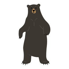 American Black Bear Single 31 cute on a white background, vector illustration. 