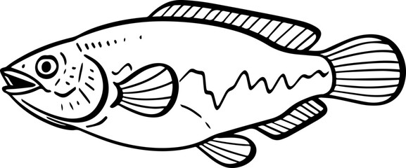 cartoon fish drawing illustration.