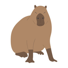 capybara single 37 PNG