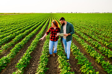 Family agricultural occupation. Man and woman are cultivating soybean. They are examining the...