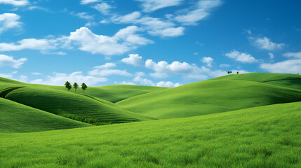 Obraz premium landscape with grass and sky