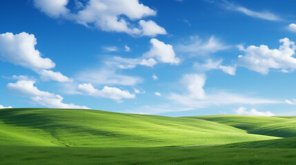 Fototapeta premium green field and blue sky xp alike