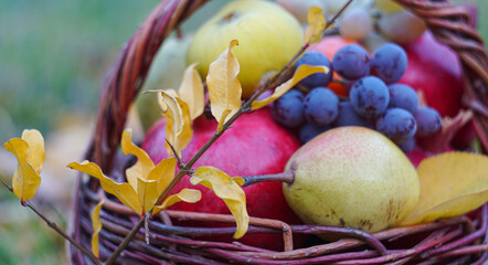 Various fruits in a basket