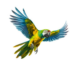 Fototapeta premium Flying parrot isolated