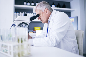 Science, laboratory and man on microscope for plants research, medical analysis and growth...