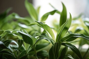 close-up of indoor plant, with delicate leaves and stems in focus, created with generative ai