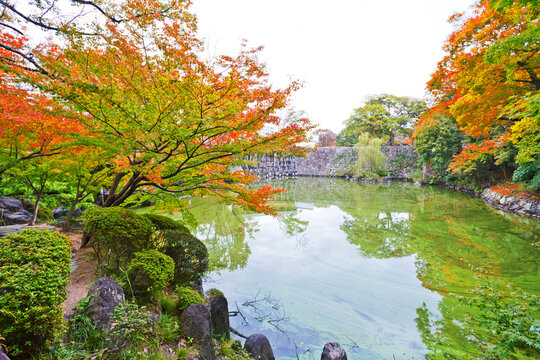 Momijidani Teien Garden in Wakayama castle, Wakayama city, Kansai, Japan.