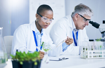 Science, agriculture and innovation with doctors in a laboratory together for sustainability or...