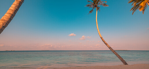 Beautiful panoramic sunset tropical paradise beach. Tranquil summer vacation or holiday landscape. Tropical sunset beach seaside palm calm sea panorama exotic nature view inspirational seascape scenic