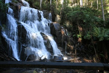 a very pretty waterfall in the middle of a forest area