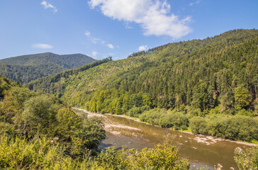 River in the summer wooded mountains on a sunny day. A small river flowing between the mountains. Green Christmas trees in the mountains and a small river. Carpathians. Ukraine.