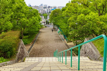 新緑の会下山公園　神戸市兵庫区にて