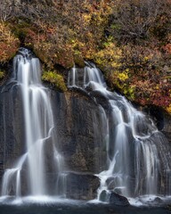 Fototapeta premium Autumn Colors along the Hraunfossar Waterfall