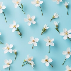 Obraz premium Branches of blossoming apricot macro with soft focus on gentle light blue sky background.