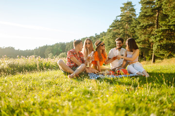 Group of young people  having fun while drinking beer,  talking at picnic party outside city on warm summer day. Vacation, picnic, friendship or holliday concept.