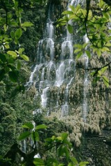 Majestic waterfall cascading down a lush green forest full of trees