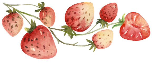 Strawberry and Baby Fruits, Border with Curve Branch Watercolor Hand Painted - 618759901