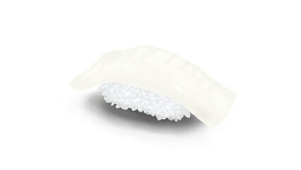 イカの握り寿司　リアルイラスト