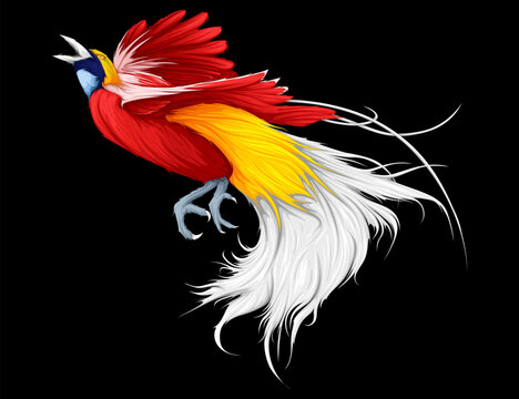 The Cendrawasih a Bird of Paradise, Detailed Vector Using Solid Color Without Effect